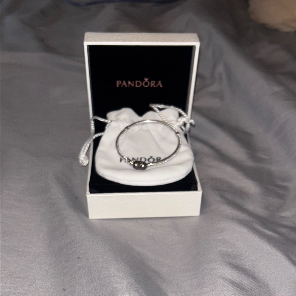 Pandora Silver Charm Bracelet with Intricate Design